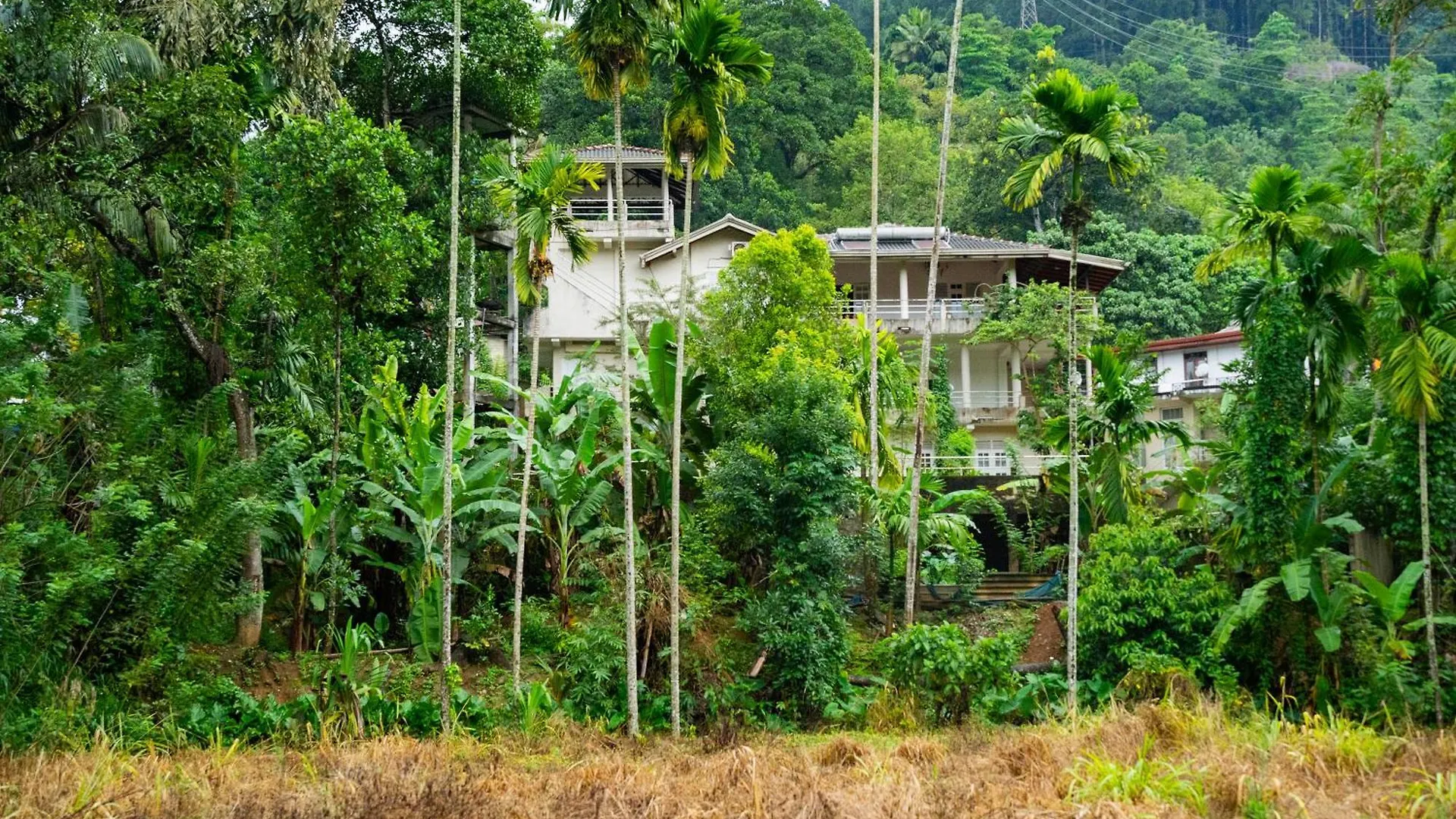 Homestay Deer Hill Rest Kandy