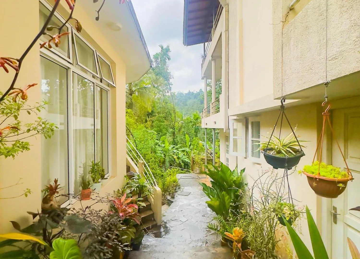 Deer Hill Rest Kandy Homestay
