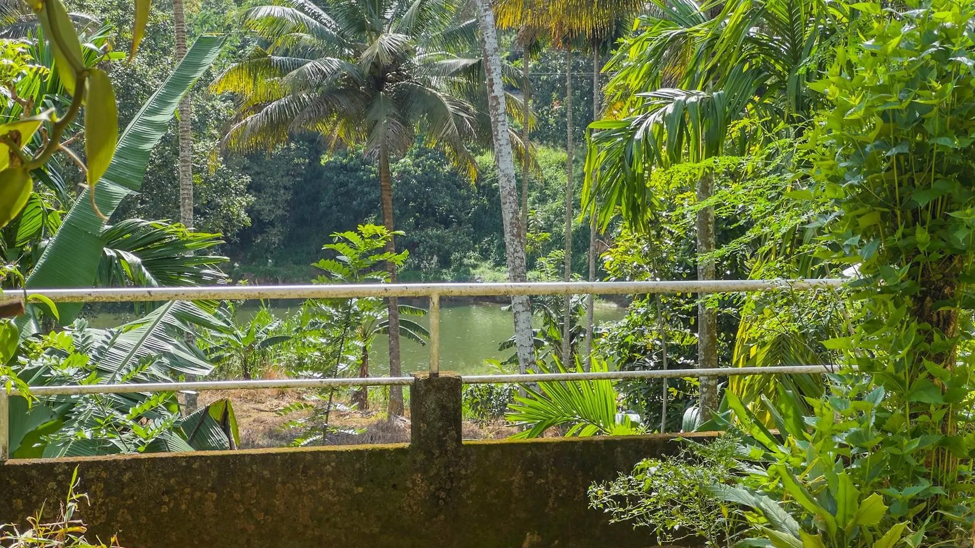 Deer Hill Rest Kandy Homestay