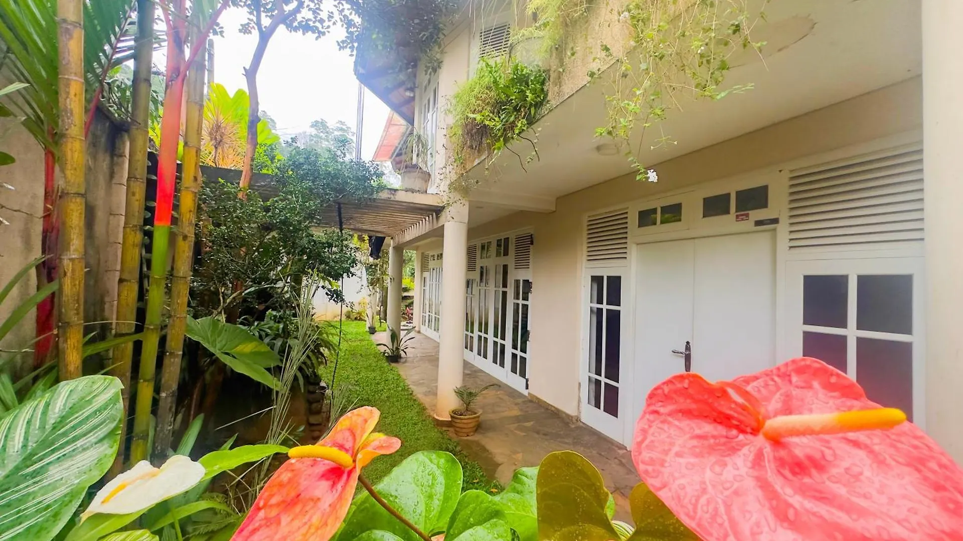 Homestay Deer Hill Rest Kandy